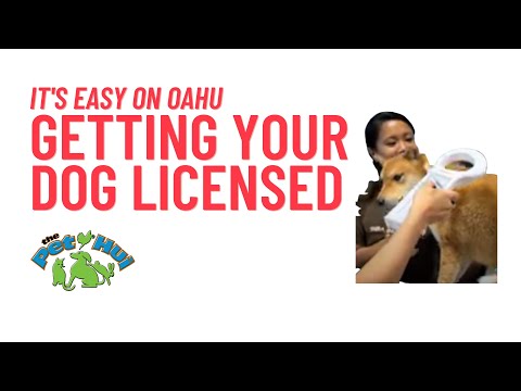 Get Akamai About Your Pet: How to register and license your dog