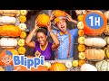 Blippi Meekah S Perfect Pumpkin Playdate Outdoor Activities For Kids