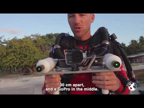 Great Hammerhead Shark – Tamataroa Ep.3 - First dive in the Tikehau pass