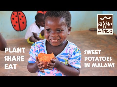 Plant. Share. Eat. Tackling Malnutrition in Malawi