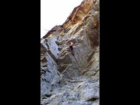 the replicant, skaha