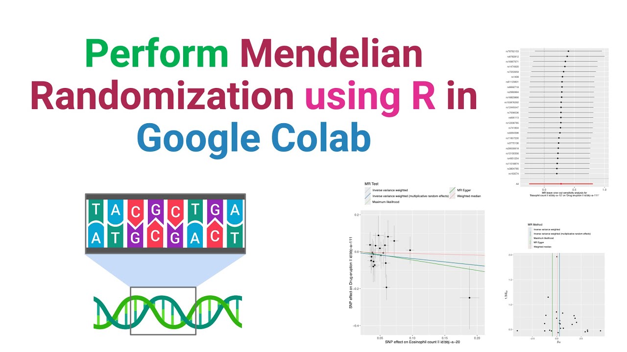 Perform Mendelian Randomization in R: Step-by-Step Tutorial Using Google Colab