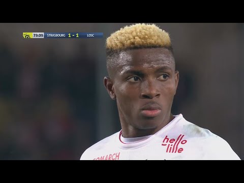 Victor Osimhen - All 31 Goals & Assists 2019/2020