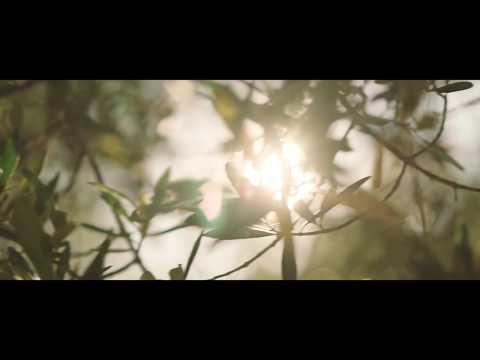 download lagu mp3 mp4 George Boyter Artist, download lagu George Boyter Artist gratis, unduh video klip George Boyter Artist