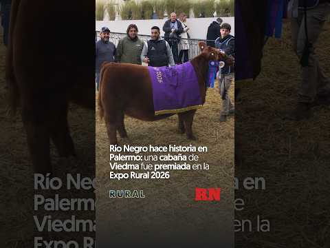Río Negro hace historia en Palermo una cabaña de Viedma fue premiada en la Expo Rural 2026