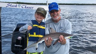 Rylee Rex- THE GREAT WHITE SHARK HUNTER!