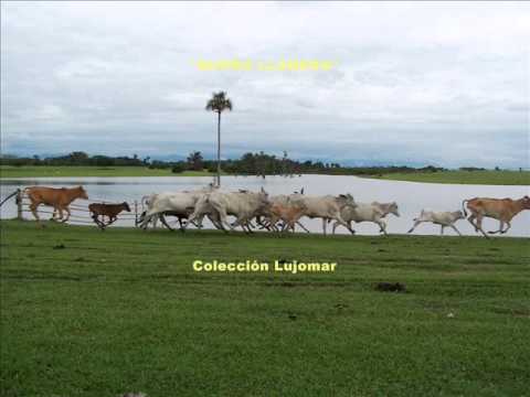 Luis Ariel Rey - Sueño llanero - Colección Lujomar