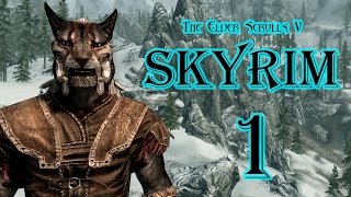 The Elder Scrolls V: Skyrim -