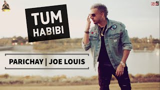 Parichay || Tum Habibi ft Joe Louis (House Mix - HQ Audio) || Hit Party Song