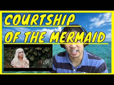 nsp courtship of the mermaid reaction