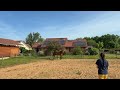 Cheval Jument Selle Fran&ccedil;ais