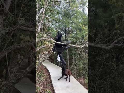 ٢٣ أبريل ٢٠٢٦