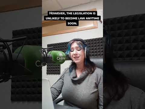 Morning Newscast - Wednesday November 12 2025 - Yellowknife NWT Canada - CabinRadio.ca