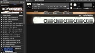 Video thumbnail for CineSamples Hollywoodwinds demo and review by SoundsAndGear