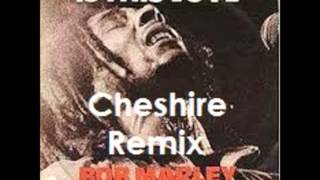 Bob Marley &amp; The Wailers-Is This Love(Cheshire RMX)