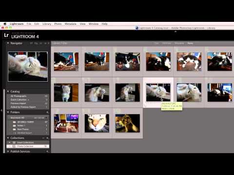 How to Run Lightroom in 64 Bit