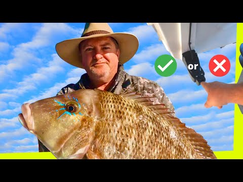 “Will this work?” ✅ or ❌ DEEP SEA FISHING 1770 - FISHING VIDEO - OBM Eddie & Snez Boat (Session 30)
