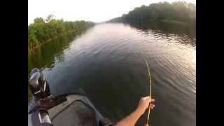 preview picture of video 'New River, Virginia Musky Fly Fishing Guide'