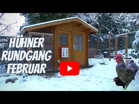 Hühner Rundgang Februar - Hühnerfutterautomat, Stallklima, Gehege, Kompost, Haltung vor 100 Jahren