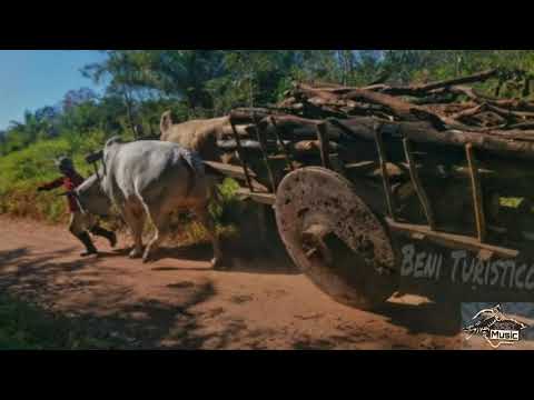 CARRETERO DEL PALMAR 🇧🇴💚 💚 💚