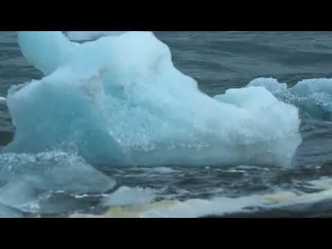 Chasing Time | Official Trailer | ALT EFF 2025