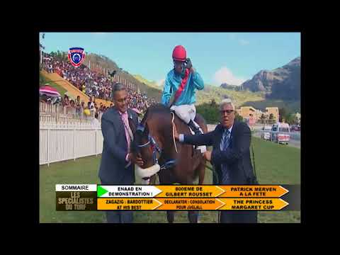 LES SPÉCIALISTES DU TURF - 23RD MEETING 2017 SEASON