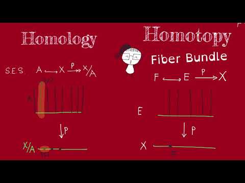 Fiber Bundle (part 1)- Motivation
