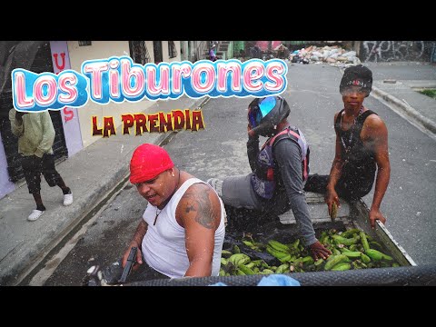 La Prendia Los Tiburones (Video Oficial) @jordanfilmsrd