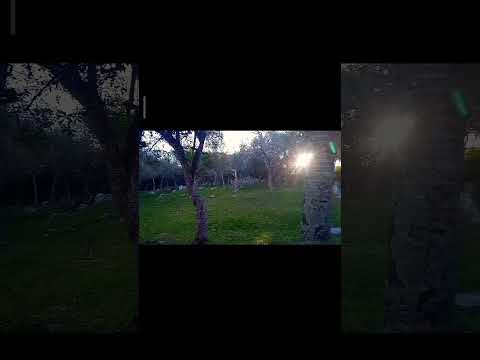 cementerio, fuerte de San Miguel Uruguay 🇺🇾