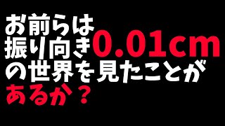 お前らは振り向き0.01cmの世界を見たことがあるか？