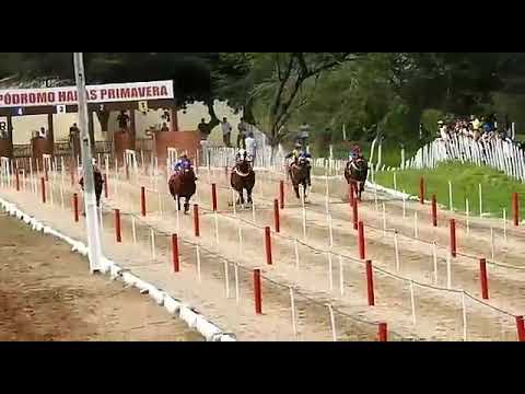 XIII GP HARAS PRIMAVERA - 2° Páreo Classificatório,14/03/2020.