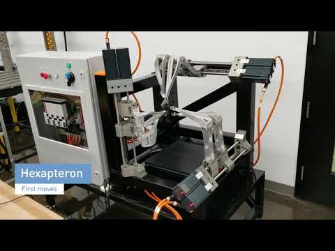 Hexapteron - The simplest six-DOF parallel robot