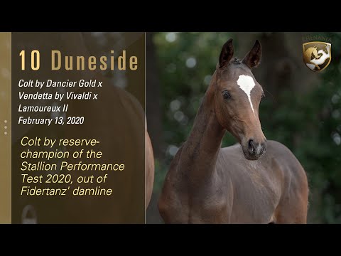 Lot 10 - Dancier Gold x Vendetta (Vivaldi x Lamoureux II) - Rhenania x Ekestrian 28/29 July