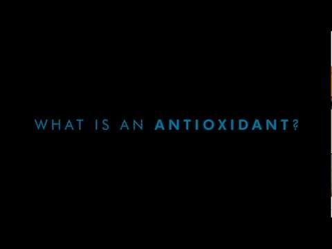 What is an Antioxidant