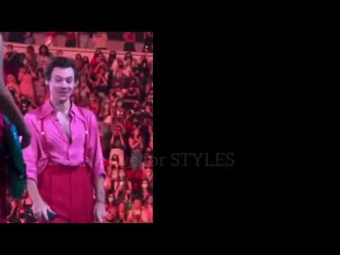 Harry Styles same energy for Elin Sandberg 🎉 Love on Tour 2021