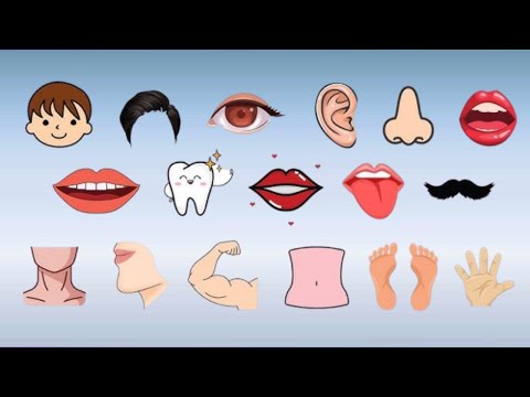 ZAGONETKE ZA DECU - DELOVI TELA