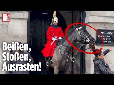 , title : 'Vor Buckingham-Palace: Pferd rastet aus'