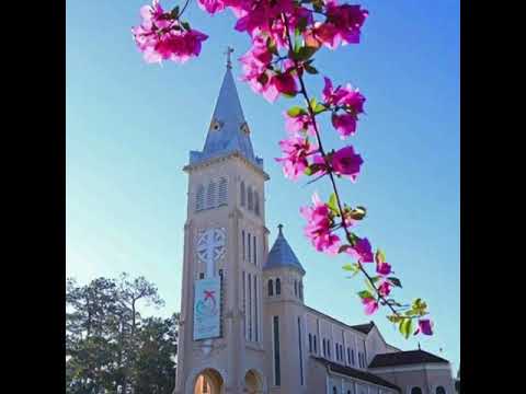 Đà Lạt vào xuân - Hoàng Thông