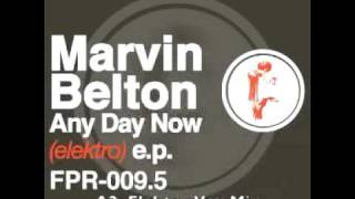 ANY DAY NOW [ELEKTRO VOX MIX] - Marvin Belton - Ferrispark Records