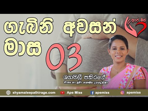 Ape Miss -  ගැබිණි මවගේ අවසන් මාස තුන  | Shymalee Pathirage
