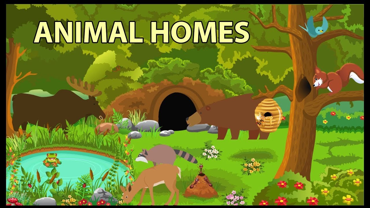 Animal Homes Vocabulary for Kids