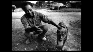 R L Burnside - Bad Luck And Trouble
