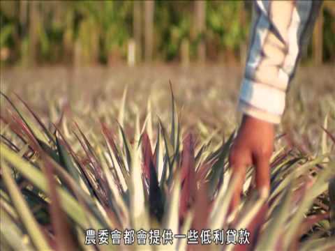 Youtube預設圖片
