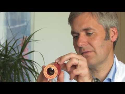 Physiotherapie Halswirbelsäule Wirbel Tarsometatarsalgelenke des Fußes