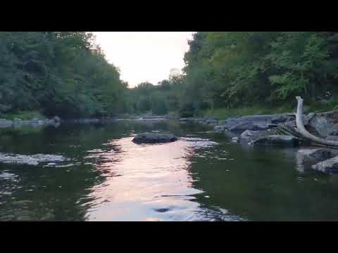 Relaxing River Sounds - Peaceful Forest River - 20 Minutes Long - Nature Video