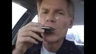 Blues Harmonica Secrets Revealed (Gussow.008)