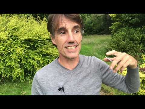 The HANGED MAN tarot card meaning