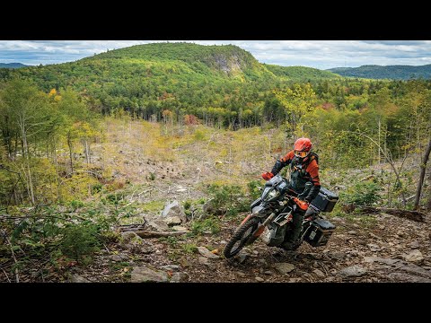 North East BDR Section 7 Highlights