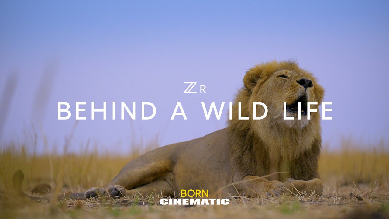 ZR Behind A Wild Life with Shannon Wild