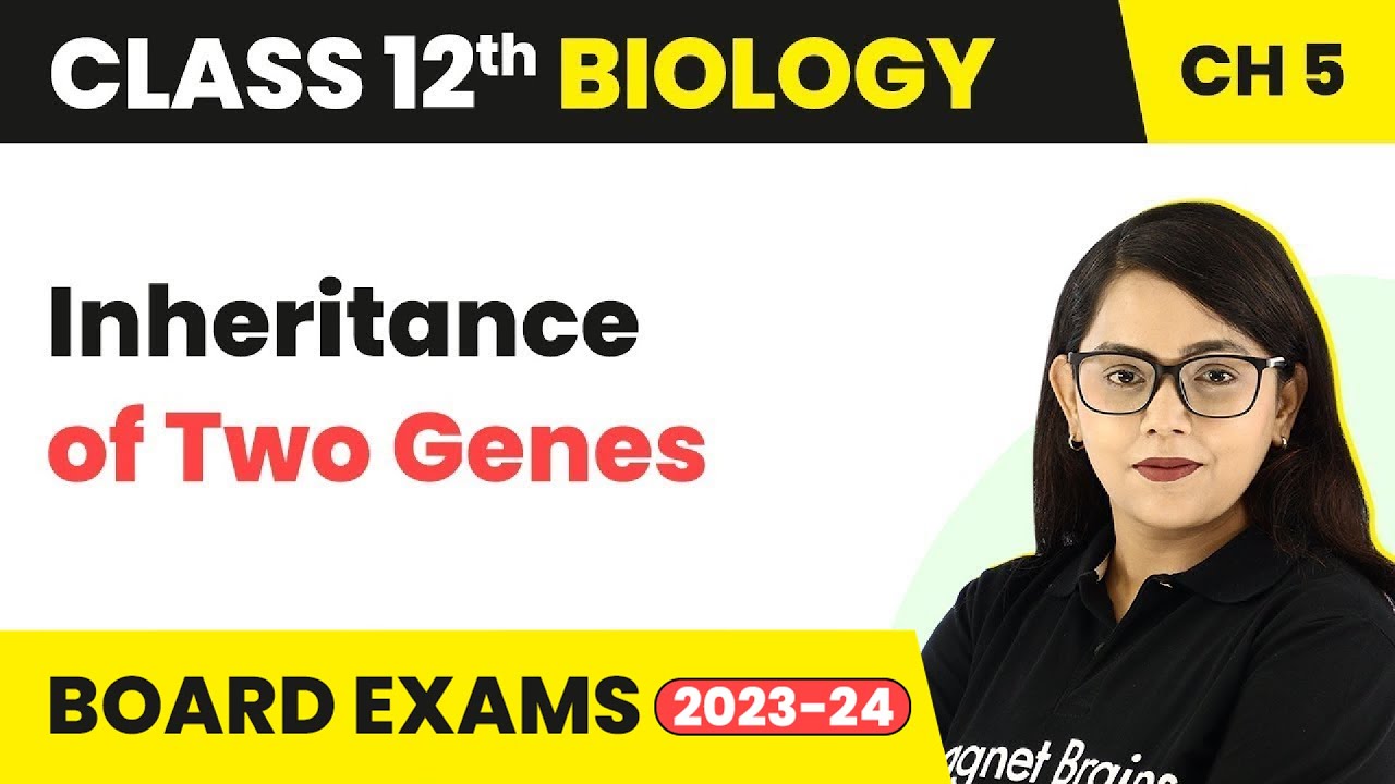 Class 12 Biology Ch 5 | Inheritance of Two Genes- Principles of Inheritance & Variation NEET 2022-23